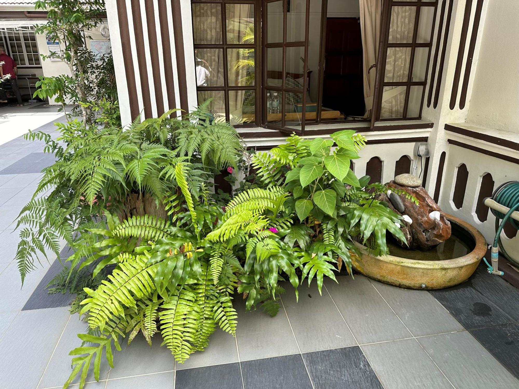 Hickory Penang Hill Hotel Ayer Itam Kültér fotó